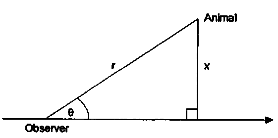 The observer records an animal at detection distance r and detection angle 0, from which the perpendicular distance is calculated as x = r sin(Q). 