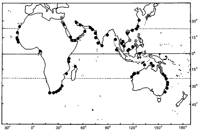 Distribution of Sousa worldwide. Closed and open circles represent specimens and sightings, respectively.