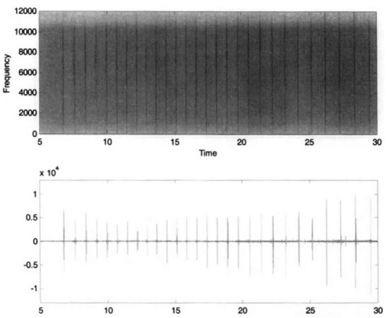 The spectrogram and waveform of "usual" sperm whale clicks. 