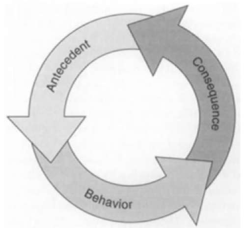 A typical operant conditioning cycle where the signal (antecedent) precedes the response (behavior), followed by the reinforcement (consequence). A single training session includes many such cycles. 