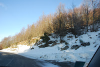 DSC_0377.JPG