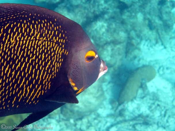 [Bonaire_1377[3].jpg]