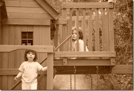 DSC_0118 DSC_0118