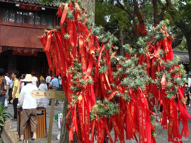 [DSC009995.jpg]