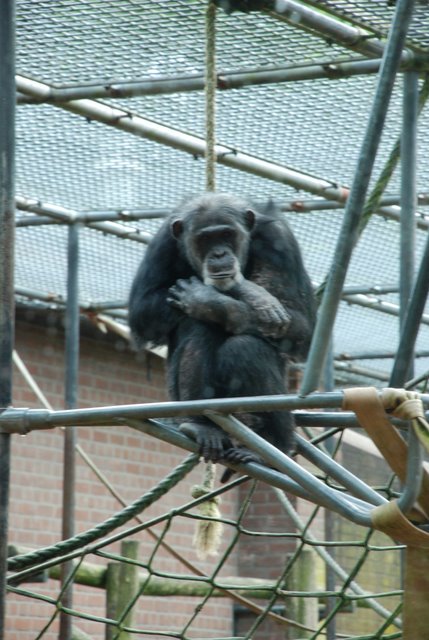 DSC_6863.JPG