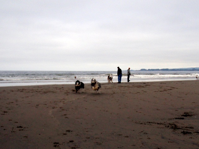 [2009_May250043.jpg]
