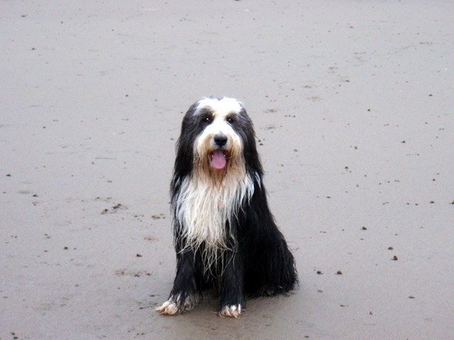 [2009_May250313.jpg]