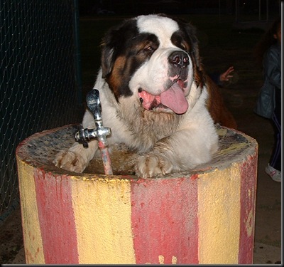 thirsty_Cujo