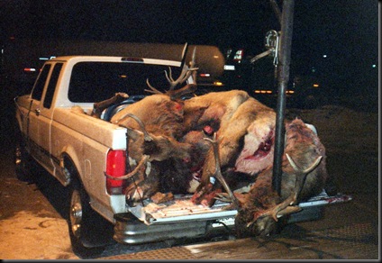 Elk Hunt 2005
