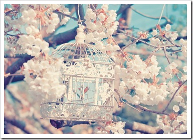 yann pendaries birdcage