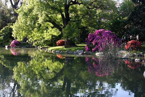 JapaneseGardens1 Summer in Buenos Aires
