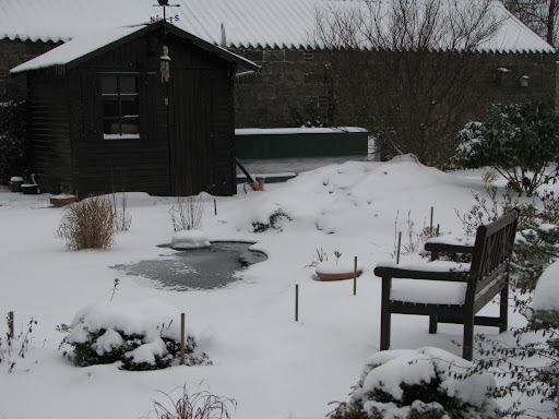bassin de jardin, bassin jardin, r�alisation, aquatique, passion, bassin, jardin aquatique, jardins aquatiques, cascade, fontaine, plantes aquatiques, plante aquatique, fontaine, conseil, plante, n�nuphar, poisson, conseils, carpe, koi, ko�, mare, �tang, eau, faune, flore, mat�riel, accessoire, mat�riels, accessoires, poissons, filtre, pompe, b�che, lagunage, tourbi�re, carnivore, insecte, forum, �cosyst�me, annonces, �changes, Bassin jardin, conseils et photos de bassins pour la r�alisation l'entretien d'un bassin de jardin, jardins aquatiques, explications sur le mat�riel, la filtration, la faune et la flore aquatique