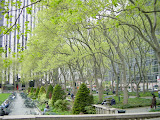 200305051627.JPG