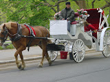 200305061647CentralPark.JPG