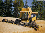 CatLexion480_Leveler_2.jpg