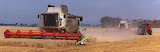 claas480_7.jpg