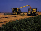 claas485_2.jpg