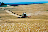 Claas_Lexion_1.jpg