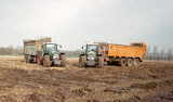 FV924_1.jpg