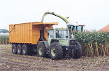 MB_silage1.jpg