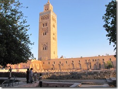 IMG_1417 IMG_1417