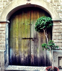 DSC_1825 DSC_1825