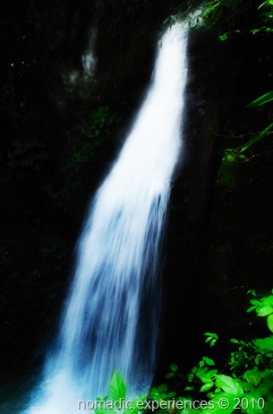 DSC_0011 DSC_0011