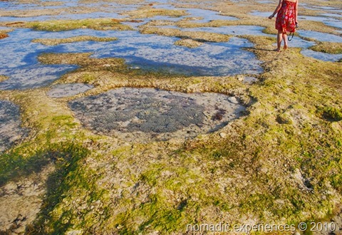 Bolinao 004 Bolinao 004