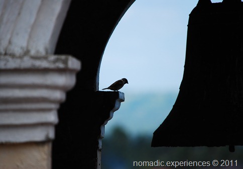 DSC_2606 DSC_2606