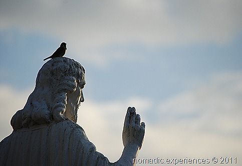DSC_2867 DSC_2867
