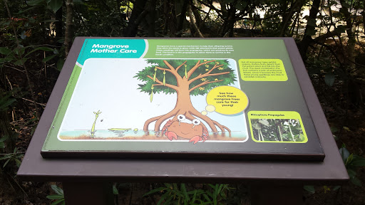 Mangrove Mother Care 