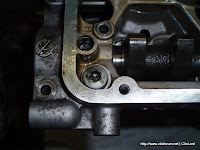 P1010056.jpg