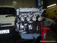 P1010014.jpg