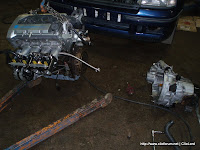 P1010001-1.jpg