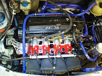 P1010009.jpg