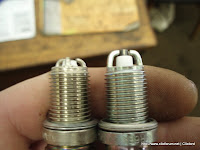 P1010040-1.jpg