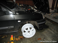 IMG_2956.jpg