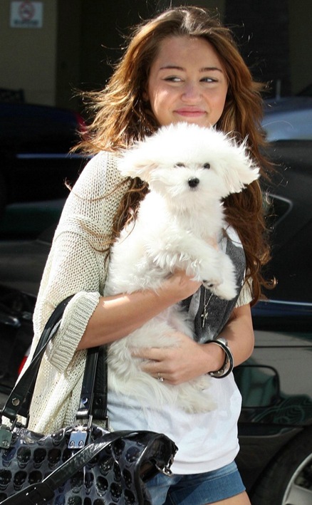 [miley-cyrus-sophie-sunday-meeting-10[5].jpg]