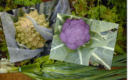 Staged Produce Pics.jpg