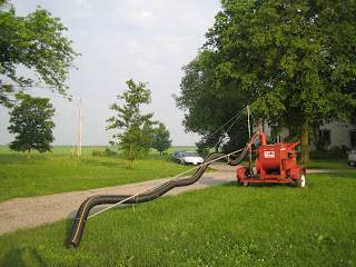 dino 10 027.jpg