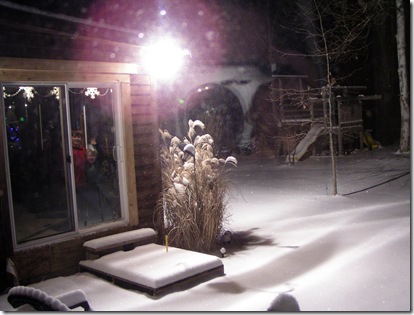 Glistening snow wonder 2