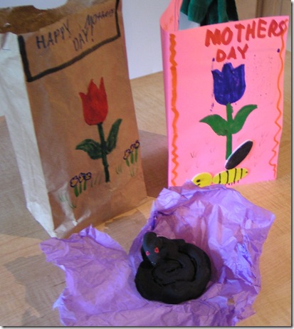 Mother's Day gift