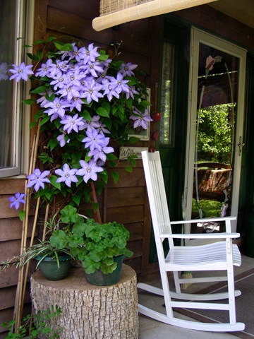 [welcoming climatis 2[3].jpg]