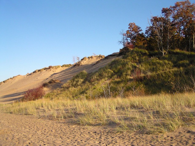 [Lake Michigan Dunes[3].jpg]
