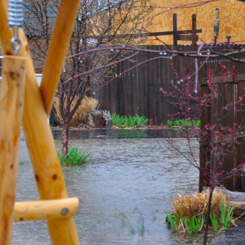 [Spring Showers[3].jpg]
