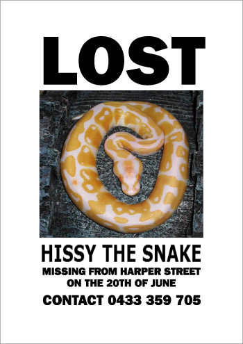 missing_hissy4.jpg
