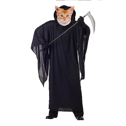 grim_reaper_cat_1.jpg