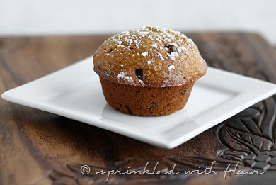 Pumpkin-Applesauce-Muffins-3-for-web
