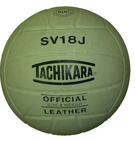 [volleyball photo[6].jpg]