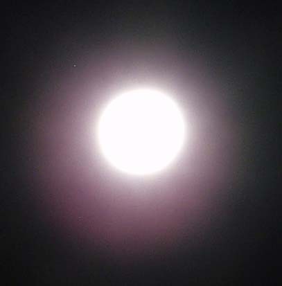 [full moon 1-11-2009[9].jpg]